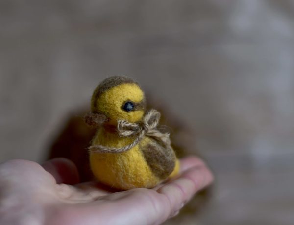 Felted duck | Felted photo props | LuckyBay Props