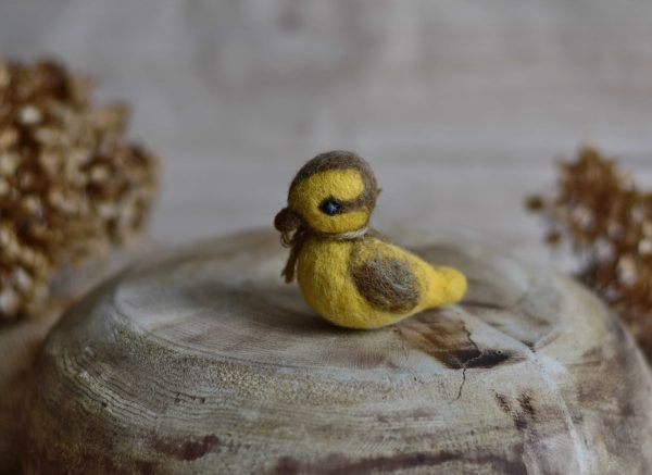 Felted duck | Felted photo props