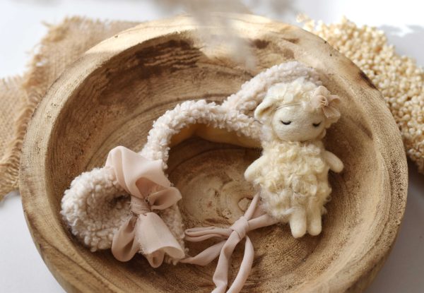 Felted sheep set | Felted photo props newborn