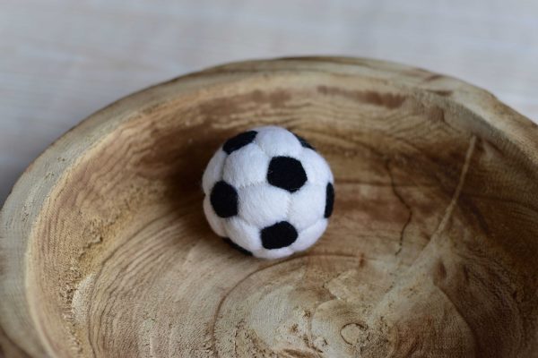 Felted Soccer football ball | Sport photo props