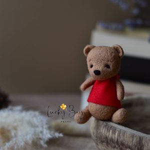 Felted bear in red t-shirt | Felted photo props