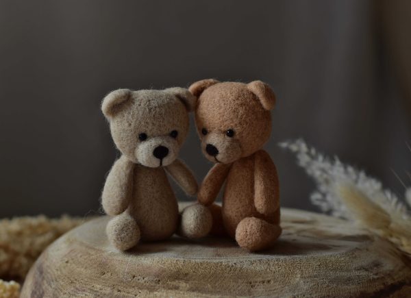 Felted bears Pat | Felted photo props newborn