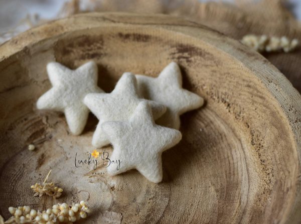 Felted star | Felted photo props
