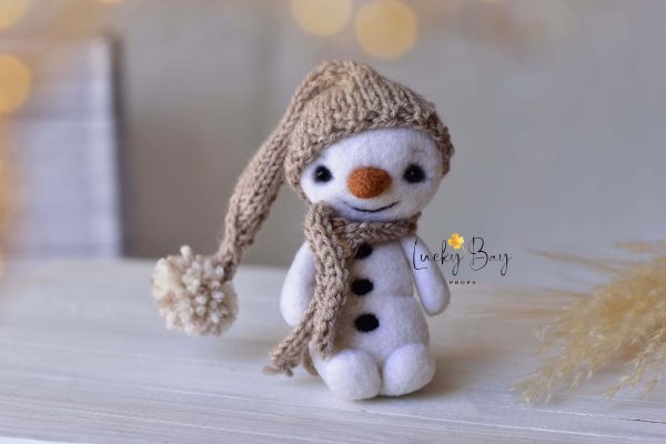 Felted snowman in a hat | Felted photo props newborn | NEW | LuckyBay Props