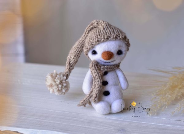 Felted snowman in a hat | Felted photo props newborn | NEW | LuckyBay Props