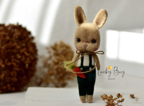 Felted bunny in green trousers| Felted photo props newborn | NEW