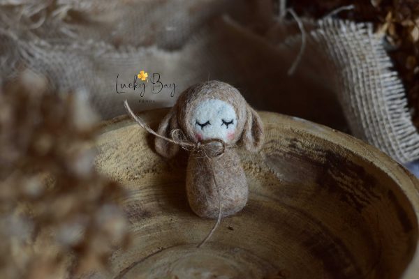 Felted doll bunny no 2 | Felted photo props newborn | NEW