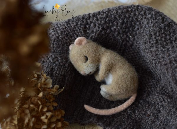 Felted mouse in beige | Felted photo props newborn | NEW